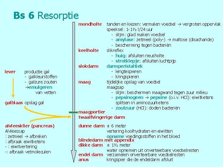 Bs 6 Resorptie mondholte keelholte slokdarm lever productie gal - galkleurstoffen - galzure zouten