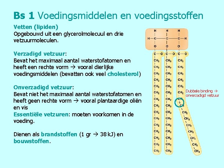 Bs 1 Voedingsmiddelen en voedingsstoffen Vetten (lipiden) Opgebouwd uit een glycerolmolecuul en drie vetzuurmoleculen.