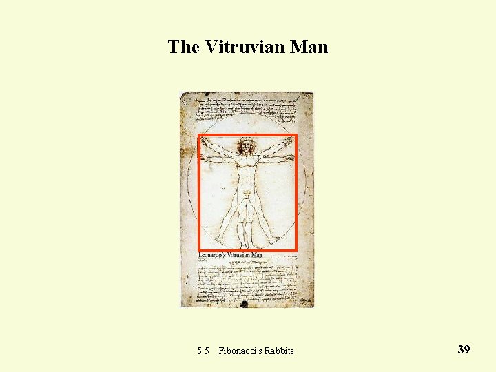 The Vitruvian Man 5. 5 Fibonacci's Rabbits 39 