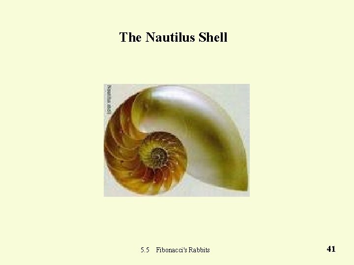 The Nautilus Shell 5. 5 Fibonacci's Rabbits 41 