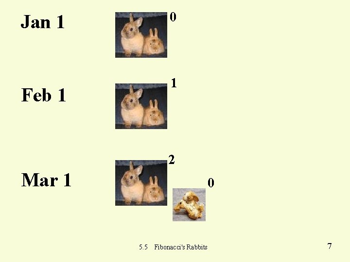 0 Jan 1 1 Feb 1 2 Mar 1 0 5. 5 Fibonacci's Rabbits