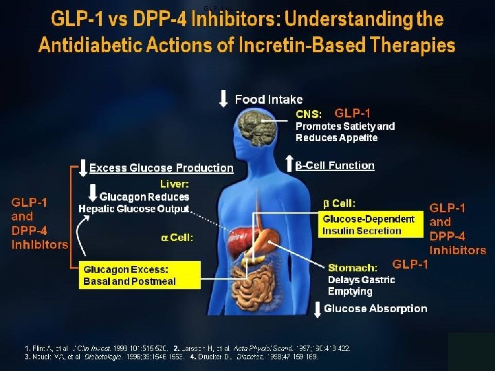 GLP-1 vs DPP-4 Inhibitors: Understanding the Antidiabetic Actions of Incretin-Based Therapies 