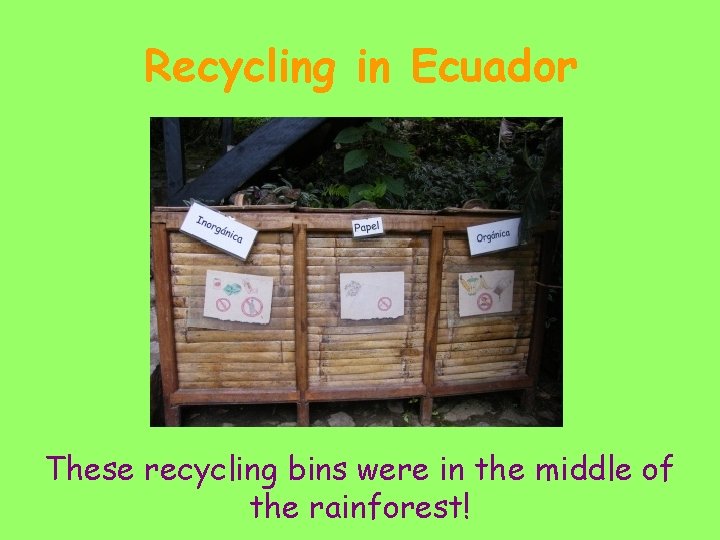 Recycling in Ecuador These recycling bins were in the middle of the rainforest! 