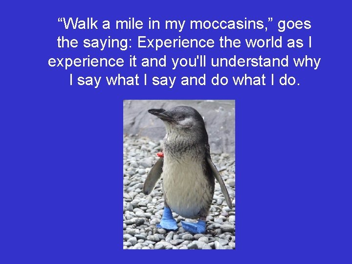 “Walk a mile in my moccasins, ” goes the saying: Experience the world as