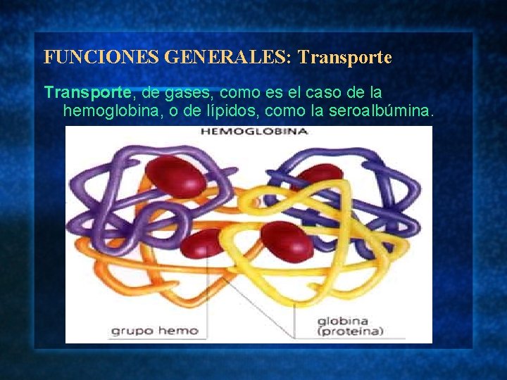 FUNCIONES GENERALES: Transporte, de gases, como es el caso de la hemoglobina, o de