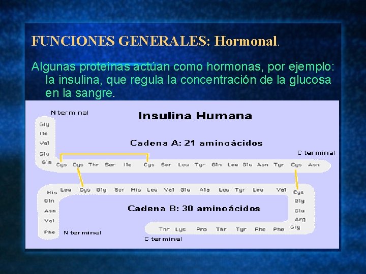 FUNCIONES GENERALES: Hormonal. Algunas proteínas actúan como hormonas, por ejemplo: la insulina, que regula