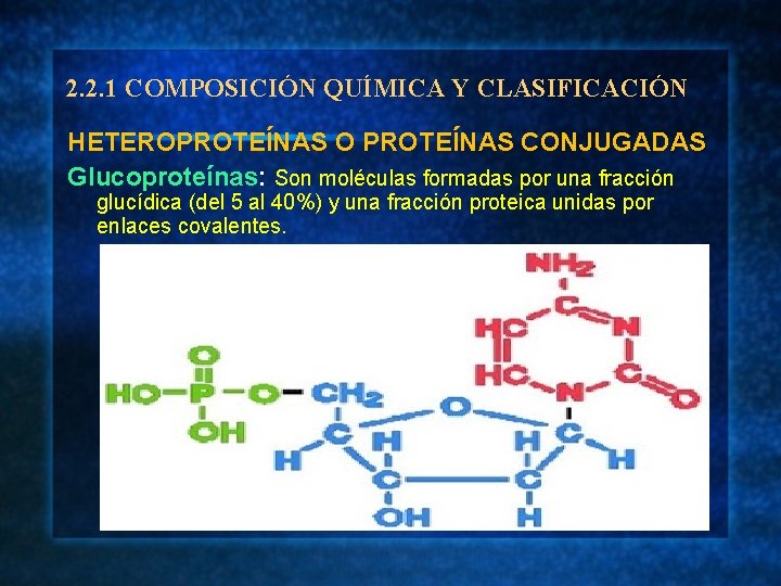 2. 2. 1 COMPOSICIÓN QUÍMICA Y CLASIFICACIÓN HETEROPROTEÍNAS O PROTEÍNAS CONJUGADAS Glucoproteínas: Son moléculas