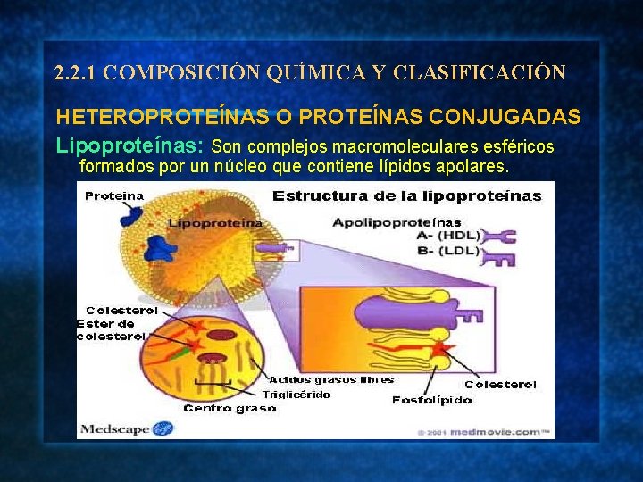 2. 2. 1 COMPOSICIÓN QUÍMICA Y CLASIFICACIÓN HETEROPROTEÍNAS O PROTEÍNAS CONJUGADAS Lipoproteínas: Son complejos