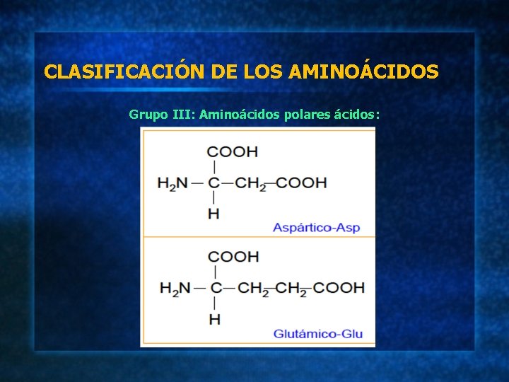 CLASIFICACIÓN DE LOS AMINOÁCIDOS Grupo III: Aminoácidos polares ácidos: 