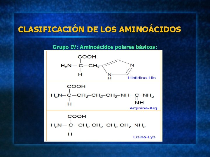 CLASIFICACIÓN DE LOS AMINOÁCIDOS Grupo IV: Aminoácidos polares básicos: 