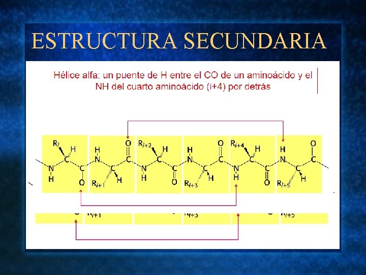 ESTRUCTURA SECUNDARIA 