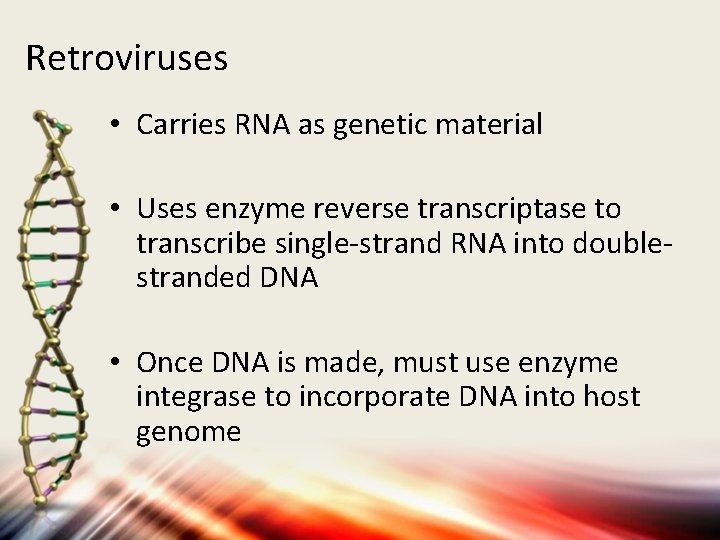 Retroviruses • Carries RNA as genetic material • Uses enzyme reverse transcriptase to transcribe