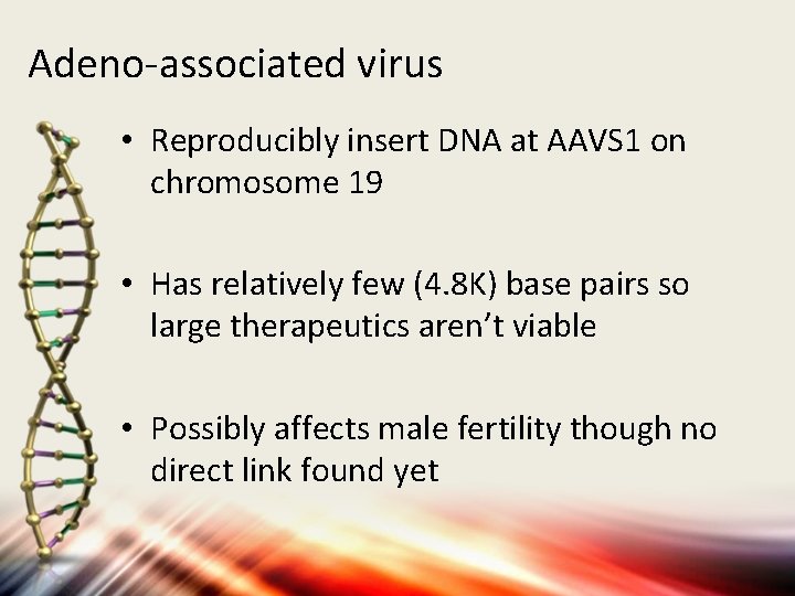 Adeno-associated virus • Reproducibly insert DNA at AAVS 1 on chromosome 19 • Has