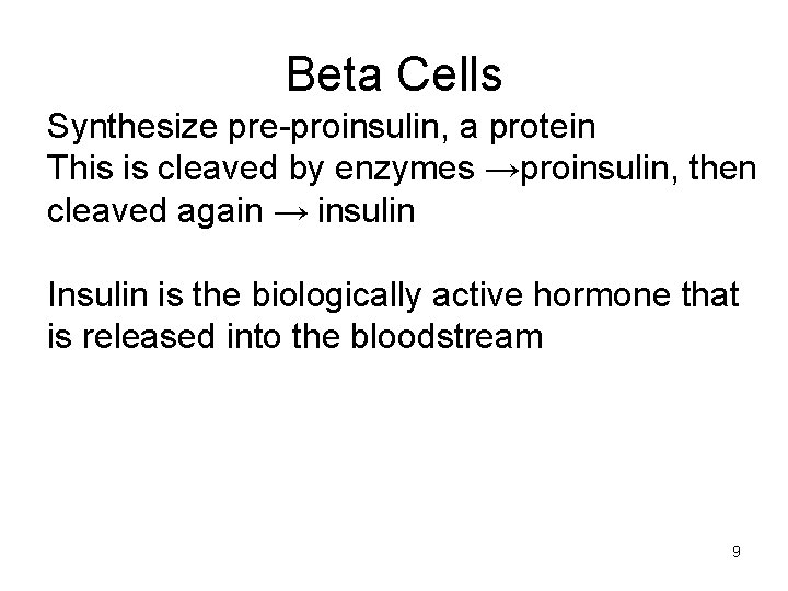 Beta Cells Synthesize pre-proinsulin, a protein This is cleaved by enzymes →proinsulin, then cleaved