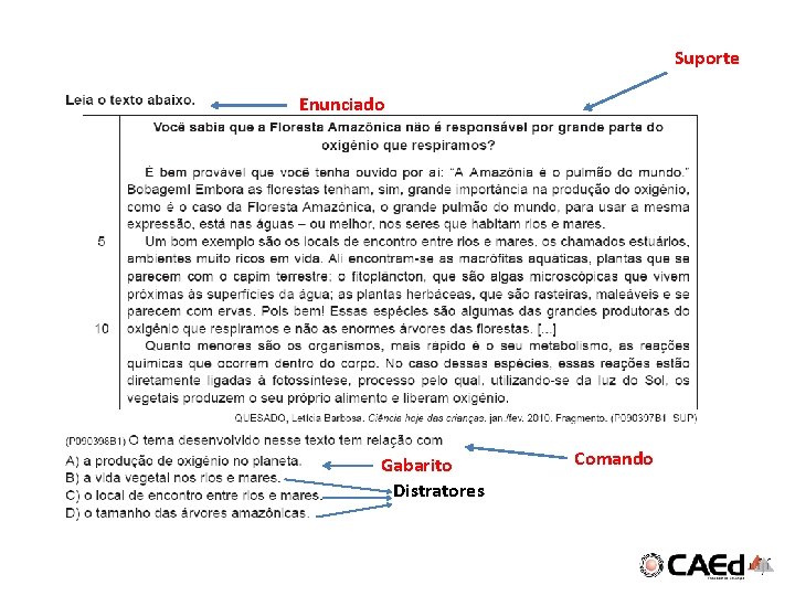 Suporte Enunciado Gabarito Distratores Comando 