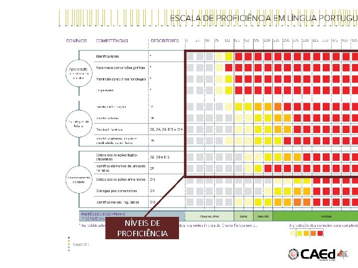 NÍVEIS DE PROFICIÊNCIA 