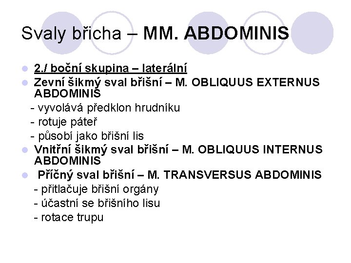 Svaly břicha – MM. ABDOMINIS 2. / boční skupina – laterální Zevní šikmý sval