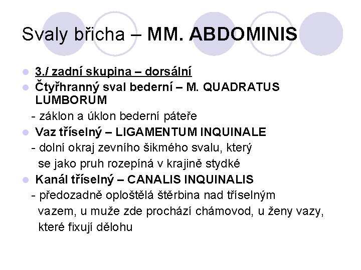 Svaly břicha – MM. ABDOMINIS 3. / zadní skupina – dorsální l Čtyřhranný sval