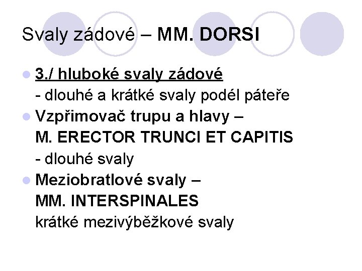 Svaly zádové – MM. DORSI l 3. / hluboké svaly zádové - dlouhé a