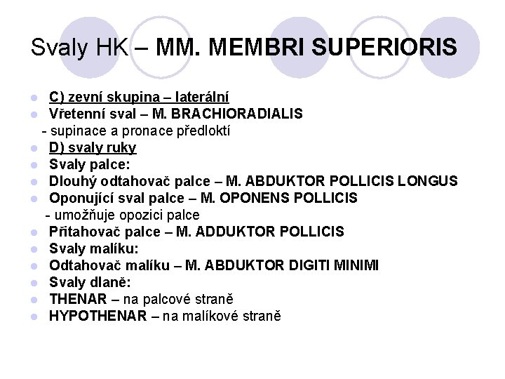 Svaly HK – MM. MEMBRI SUPERIORIS C) zevní skupina – laterální Vřetenní sval –