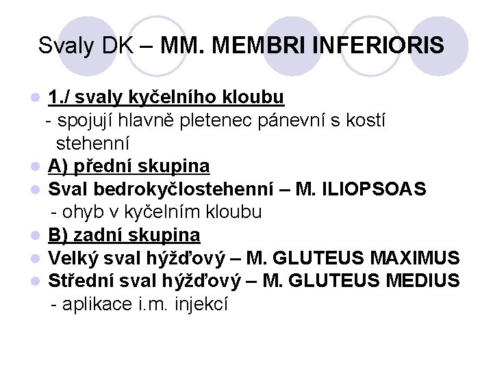 Svaly DK – MM. MEMBRI INFERIORIS 1. / svaly kyčelního kloubu - spojují hlavně