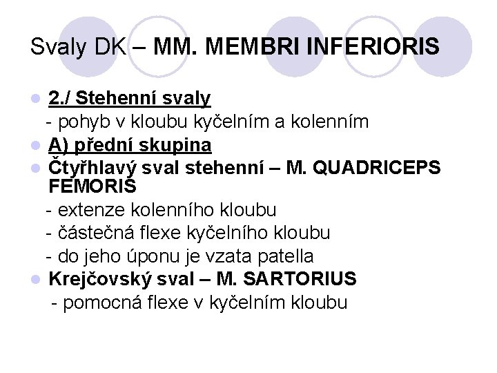 Svaly DK – MM. MEMBRI INFERIORIS 2. / Stehenní svaly - pohyb v kloubu