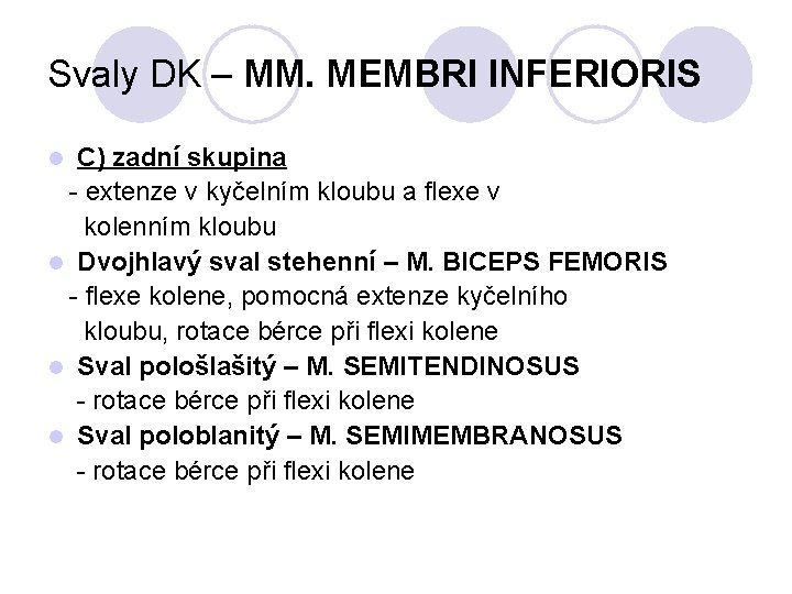 Svaly DK – MM. MEMBRI INFERIORIS C) zadní skupina - extenze v kyčelním kloubu