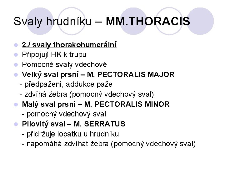 Svaly hrudníku – MM. THORACIS 2. / svaly thorakohumerální l Připojují HK k trupu