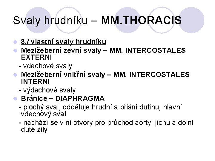 Svaly hrudníku – MM. THORACIS 3. / vlastní svaly hrudníku Mezižeberní zevní svaly –