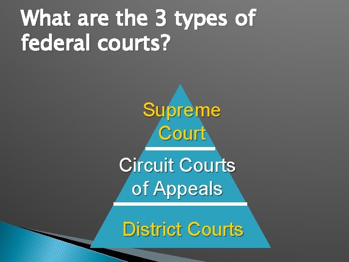 What are the 3 types of federal courts? Supreme Court Circuit Courts of Appeals