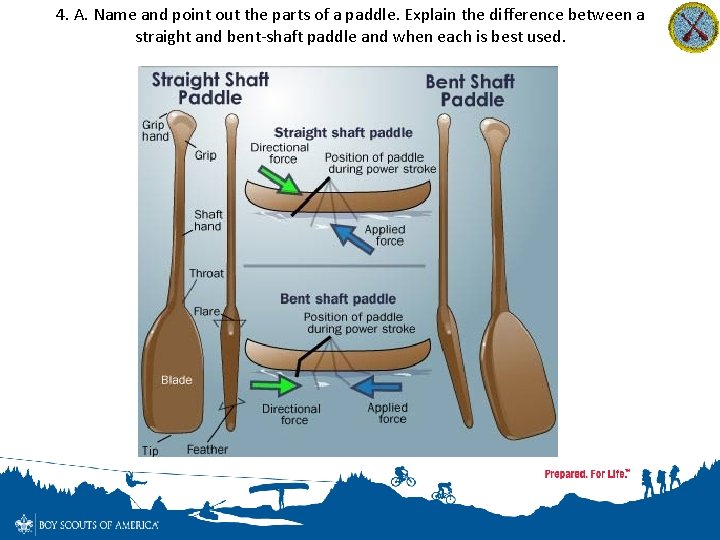 4. A. Name and point out the parts of a paddle. Explain the difference