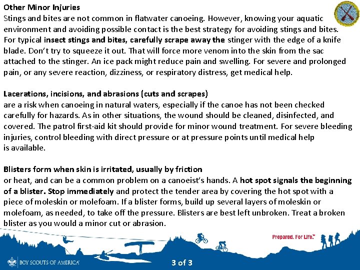 Other Minor Injuries Stings and bites are not common in flatwater canoeing. However, knowing