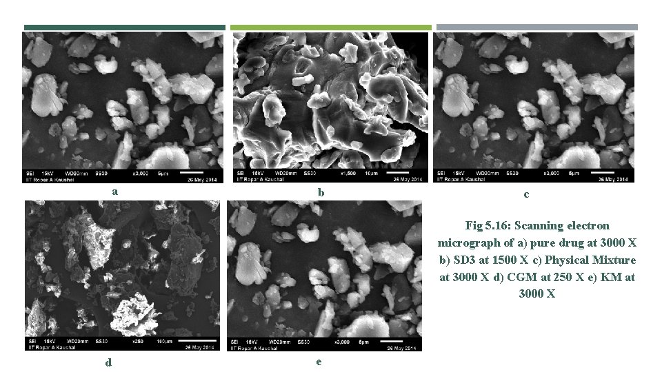 a b c Fig 5. 16: Scanning electron micrograph of a) pure drug at