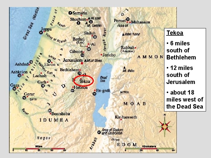 Tekoa • 6 miles south of Bethlehem • 12 miles south of Jerusalem •