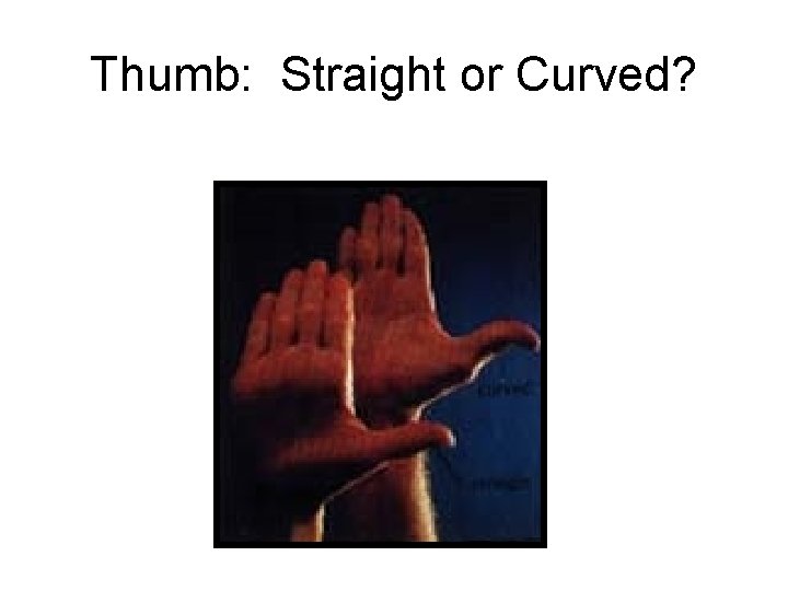 Thumb: Straight or Curved? 