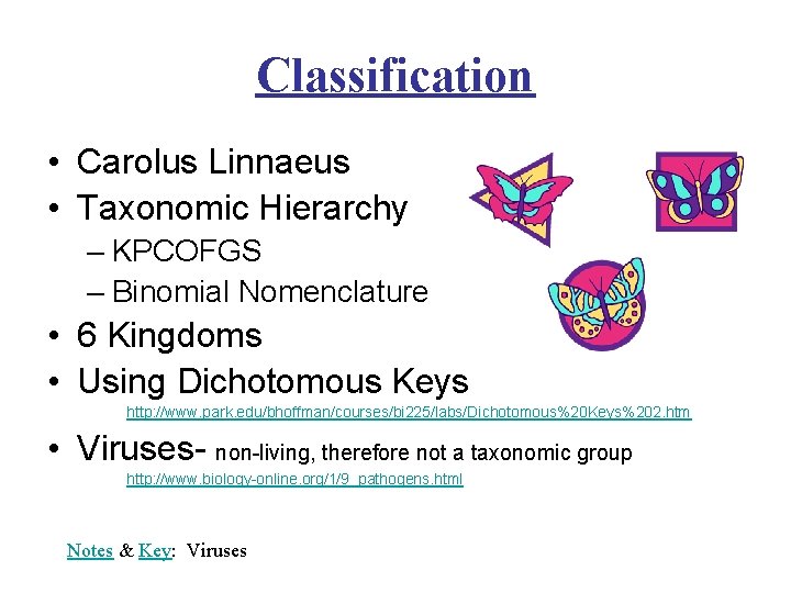 Classification • Carolus Linnaeus • Taxonomic Hierarchy – KPCOFGS – Binomial Nomenclature • 6