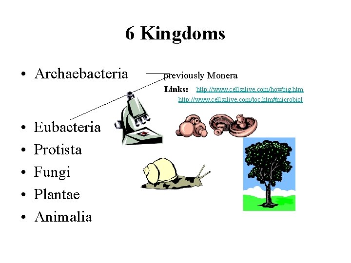 6 Kingdoms • Archaebacteria previously Monera Links: http: //www. cellsalive. com/howbig. htm http: //www.