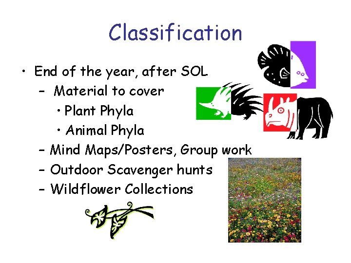 Classification • End of the year, after SOL – Material to cover • Plant