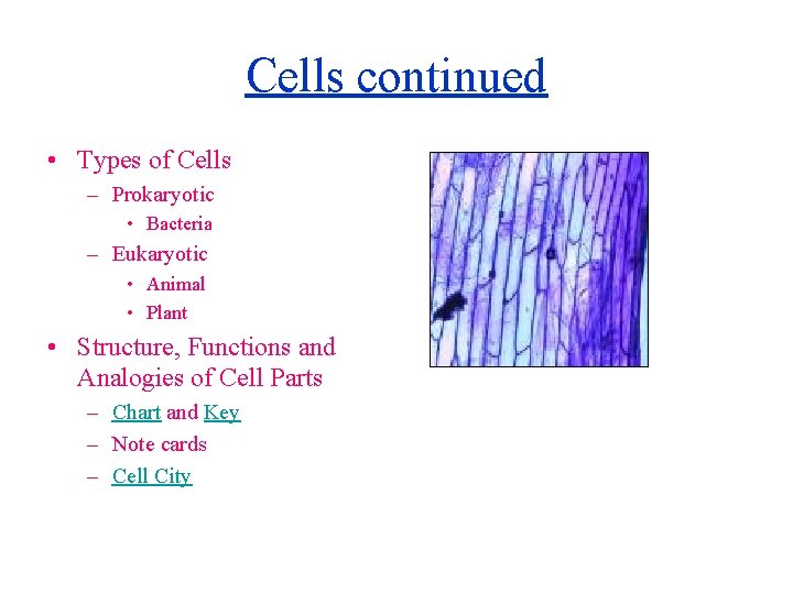 Cells continued • Types of Cells – Prokaryotic • Bacteria – Eukaryotic • Animal
