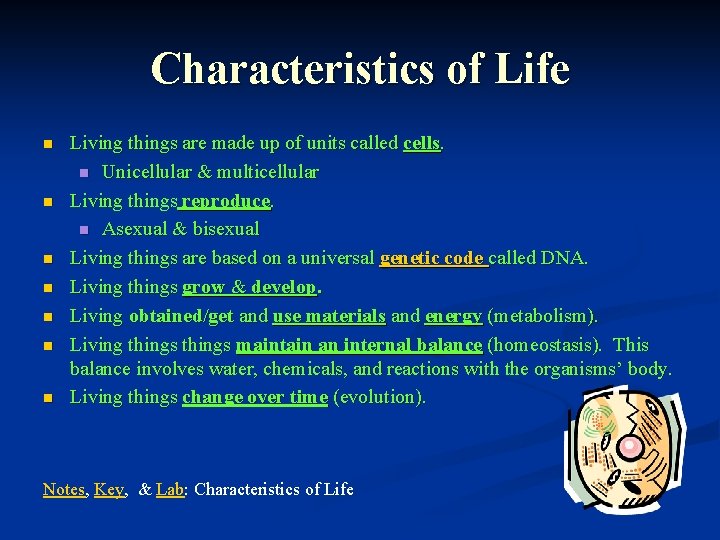 Characteristics of Life n n n n Living things are made up of units