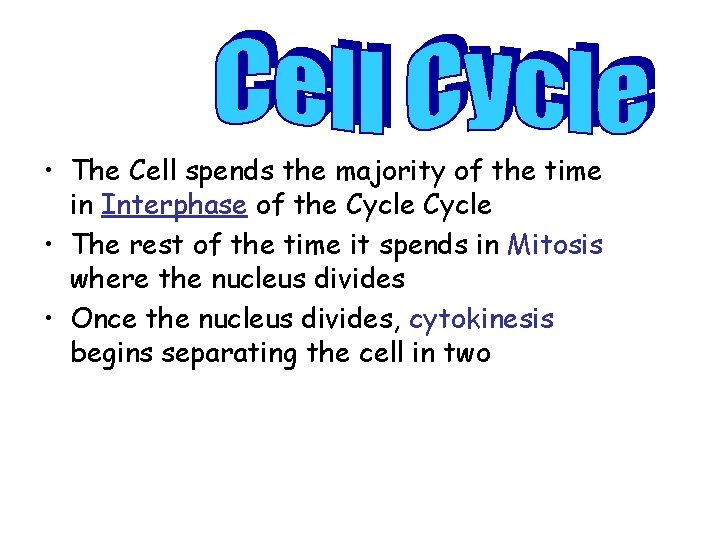  • The Cell spends the majority of the time in Interphase of the