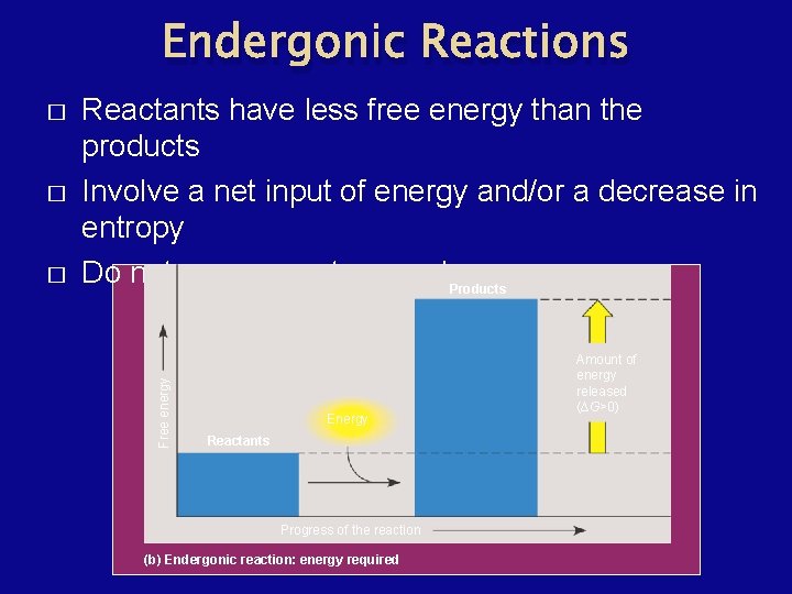 Endergonic Reactions � � Reactants have less free energy than the products Involve a