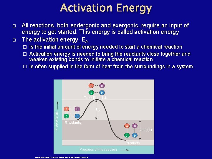 Activation Energy � All reactions, both endergonic and exergonic, require an input of energy