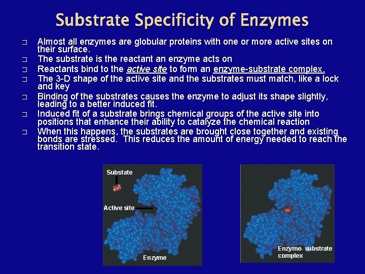 Substrate Specificity of Enzymes � � � � Almost all enzymes are globular proteins