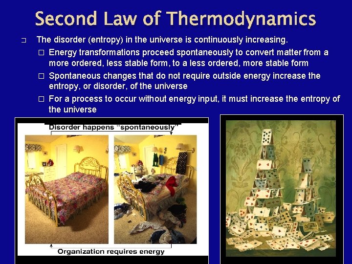 Second Law of Thermodynamics � The disorder (entropy) in the universe is continuously increasing.