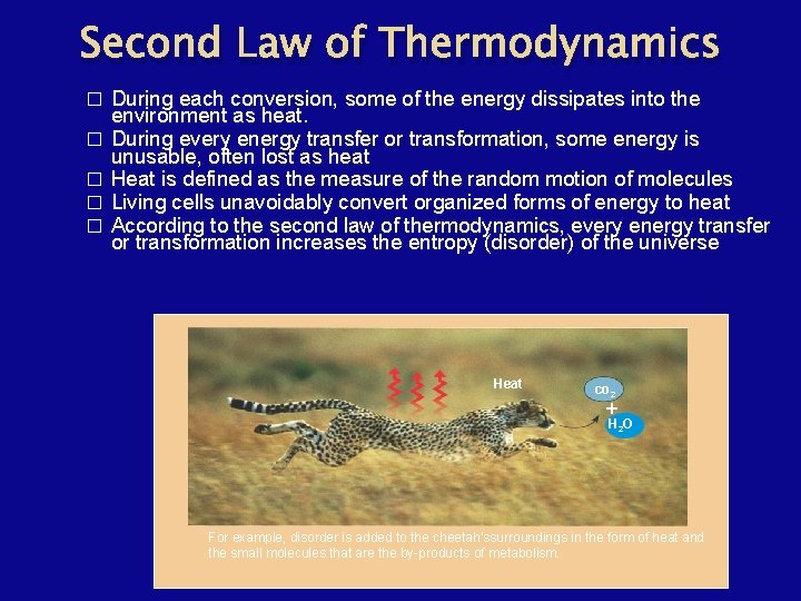 Second Law of Thermodynamics � � � During each conversion, some of the energy