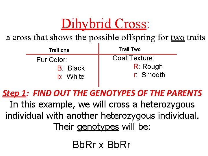 Dihybrid Cross: a cross that shows the possible offspring for two traits Trait Two