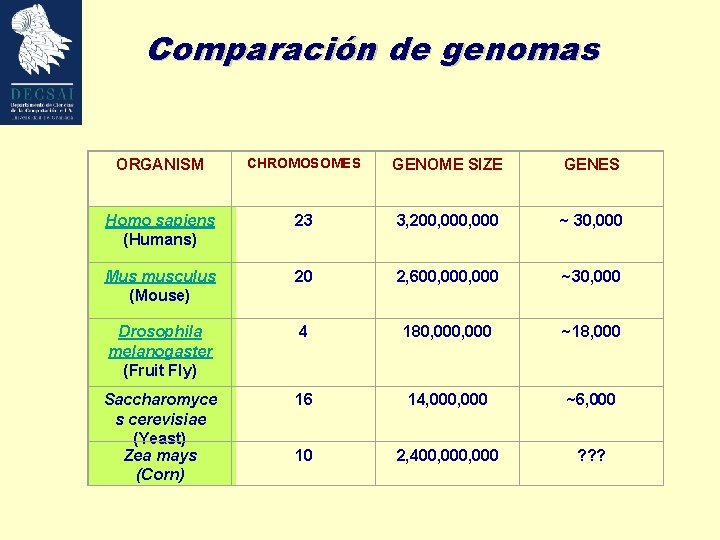 Comparación de genomas ORGANISM CHROMOSOMES GENOME SIZE GENES Homo sapiens (Humans) 23 3, 200,