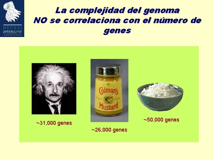 La complejidad del genoma NO se correlaciona con el número de genes ~50, 000