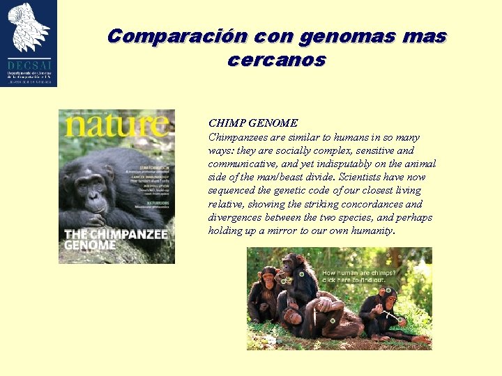 Comparación con genomas cercanos CHIMP GENOME Chimpanzees are similar to humans in so many